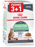 ROYAL CANIN FHN Digest Sensitive Plic pentru pisici
