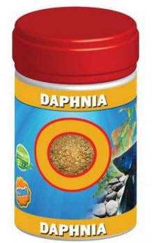 EXOTIK-K Daphnia, cutie 120ml - Maxi-Pet.ro