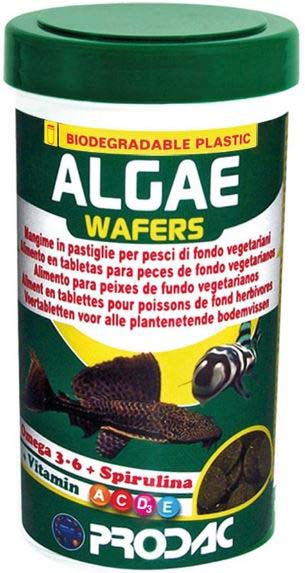 PRODAC Algae Wafer 100ml - Maxi-Pet.ro