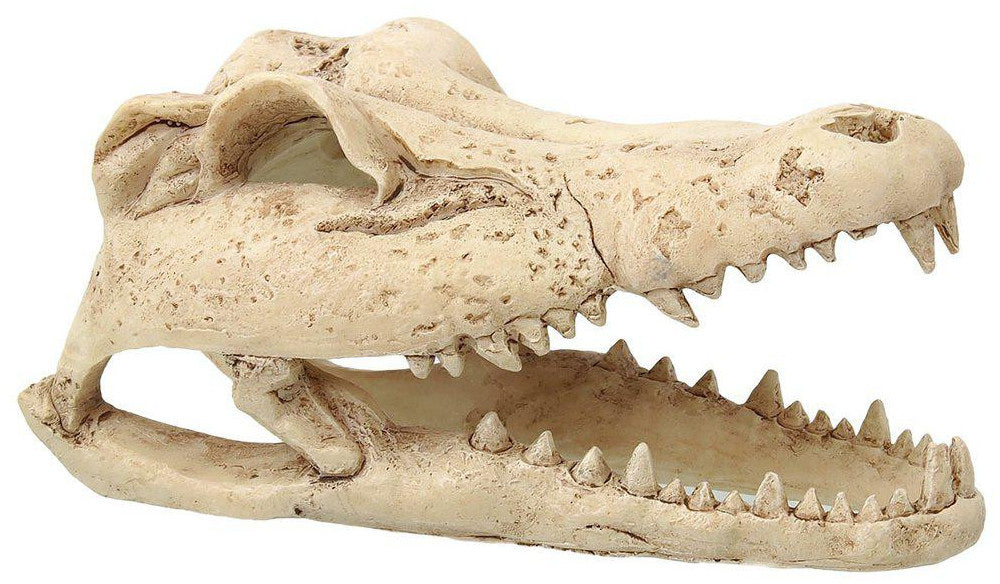 REPTI PLANET Decor pentru terariu Craniu Crocodil, 13,8x6,8x6,5cm