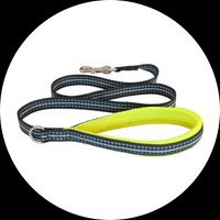 Accesorii caini Black Friday