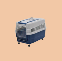Transportoare de plastic - Pisici