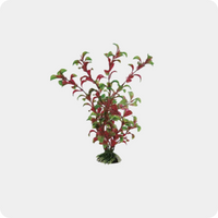 Plante artificiale acvariu - Pești