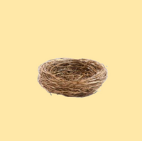 Cuiburi - Păsări