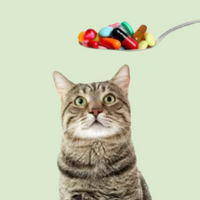 Suplimente nutritive - Pisici