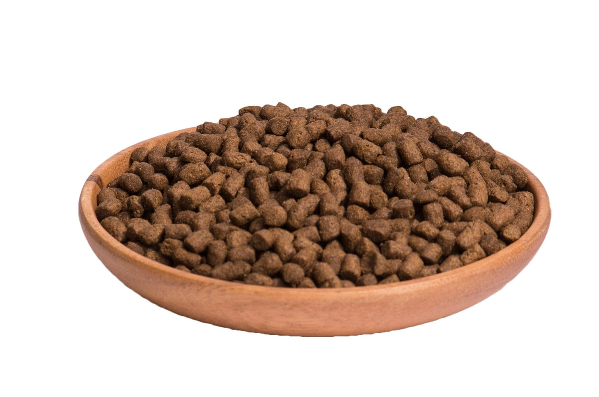 Hrana uscata pentru pisici Wellness Core Dry cu somon si ton 300g - Animax