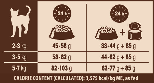 Hrana uscata pentru pisici Wellness Core Dry cu curcan si pui 300g - Animax