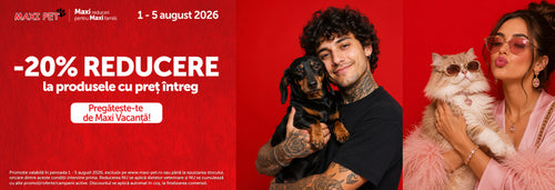 COLLECTIONS PRODUSE PRET INTREG