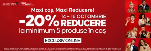 COLLECTIONS PRODUSE PRET INTREG