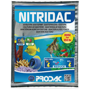 Cultura de bacterii Prodac Nitridac 25 ml - Animax