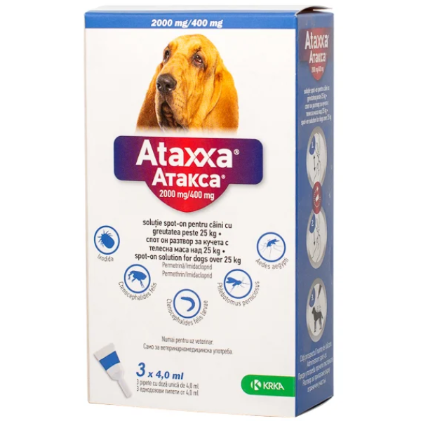 Ataxxa 400 (25 - 40 kg)