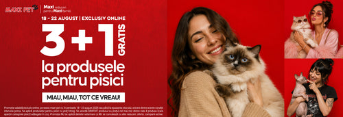 HTTPS MAXI PET RO COLLECTIONS PISICI PRET INTREG 1