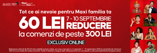 COLLECTIONS PRODUSE PRET INTREG