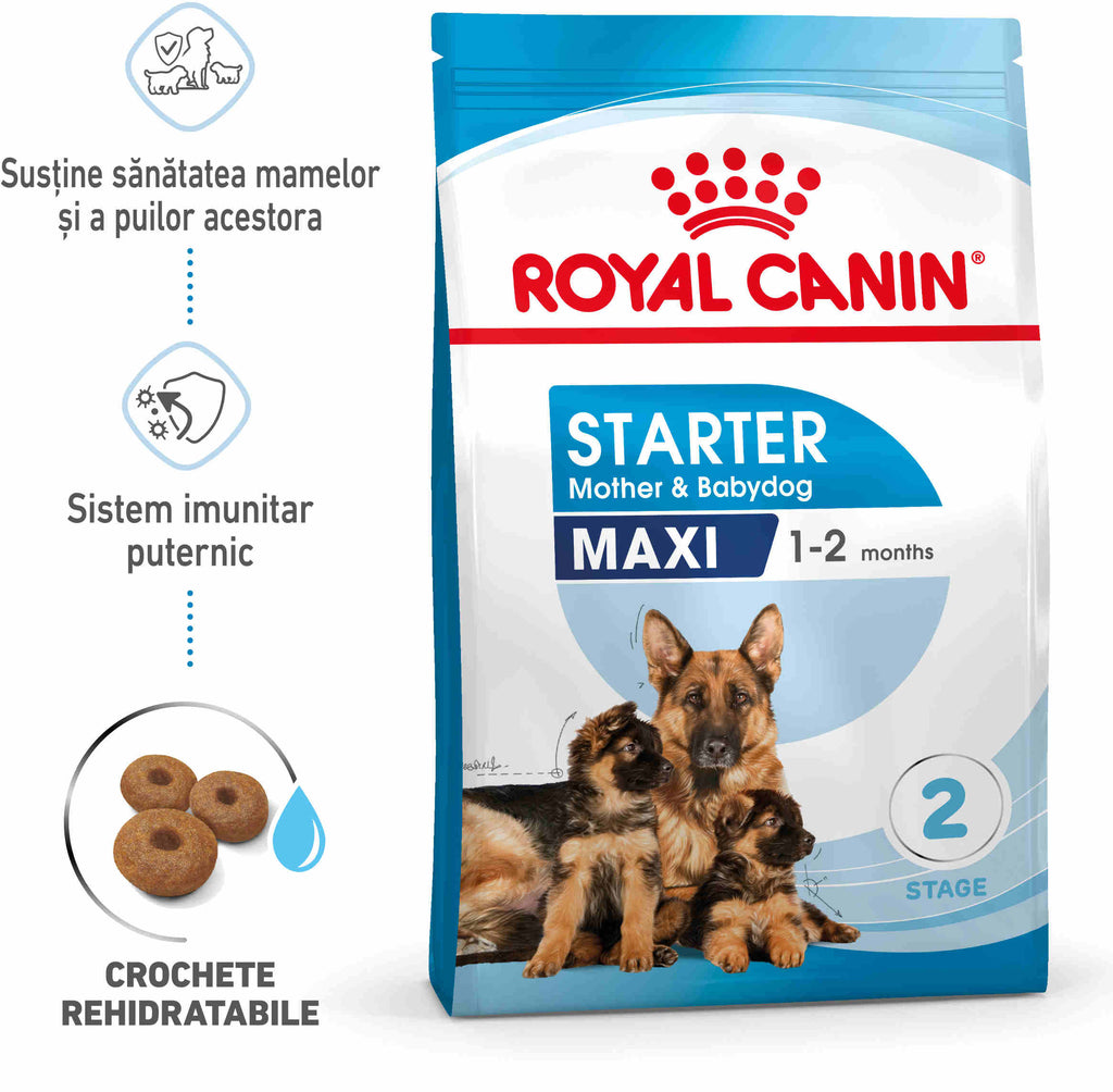ROYAL CANIN SHN Maxi Starter Mother & Babydog - Maxi-Pet.ro
