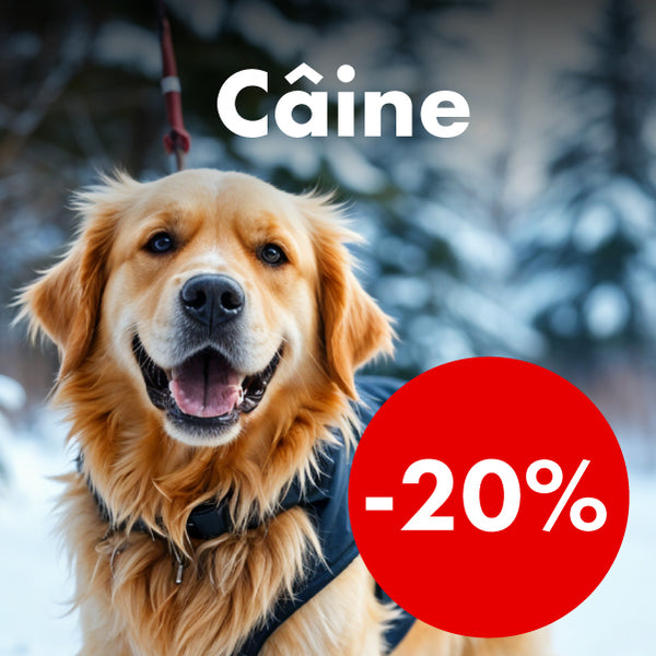 Câini