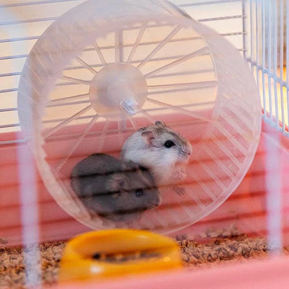 FERPLAST Cuşcă pentru hamsteri CRICETI 9 Prinţesă, Albă, 46x29,5x23 cm