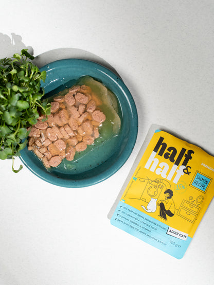 HALF&HALF plic pentru pisici adulte, bucăţi de Somon în jeleu 100g