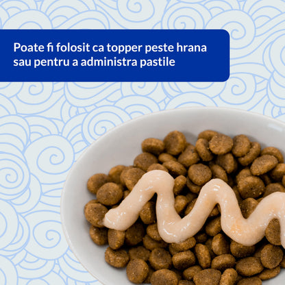 INABA CHURU Recompensă pentru pisici, Varietăţi cu Ton, 20 plicuri x14g