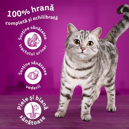 WHISKAS Hrană uscată pentru pisici adulte, cu Pui
