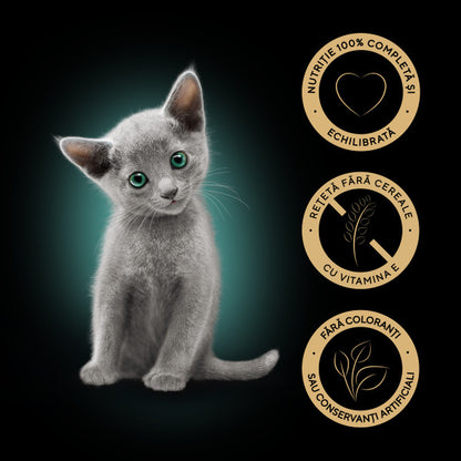 SHEBA KITTEN Plic hrană umedă pentru pisicuţe, cu Pui în sos 85g