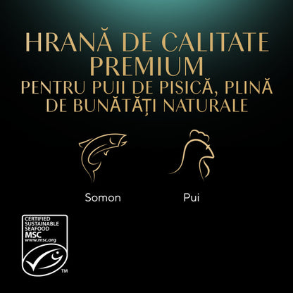 SHEBA KITTEN Plic hrană umedă pentru pisicuţe, cu Pui în sos 85g