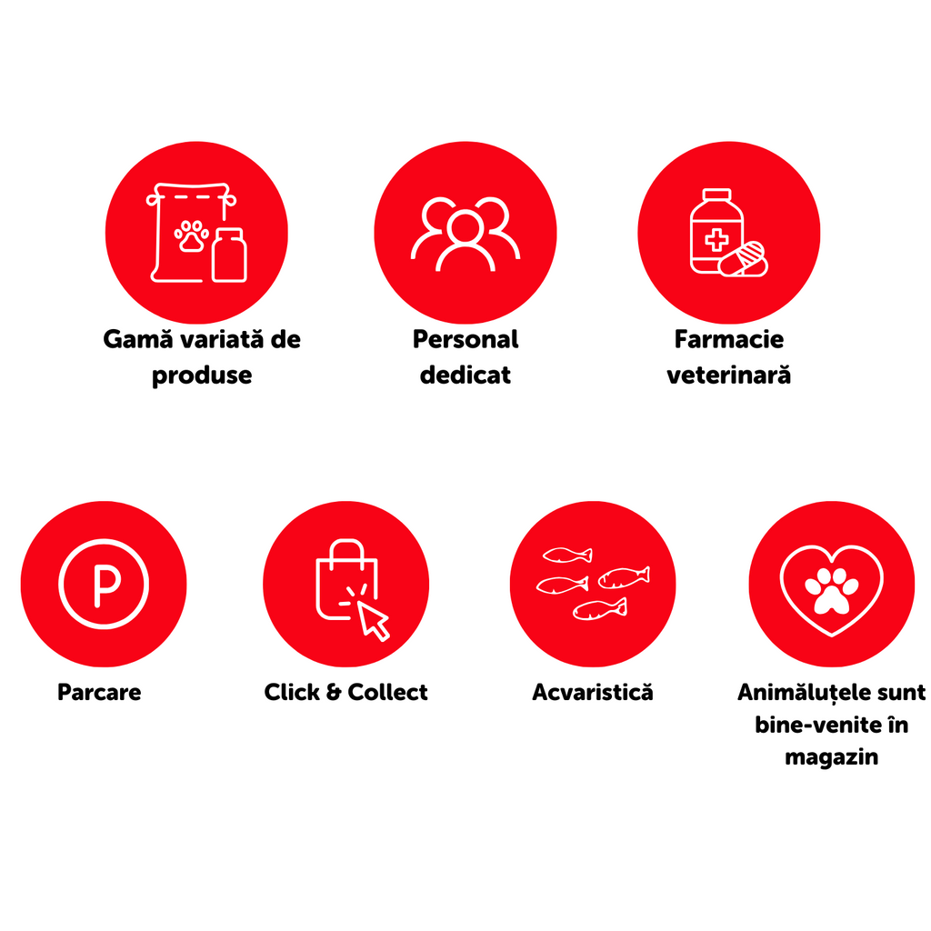 Maxi Pet Mihai Bravu Maxi Pet ro Maxi Pet Mihai Bravu Maxi Pet ro