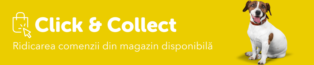 Maxi Pet Mihai Bravu Maxi Pet ro Maxi Pet Mihai Bravu Maxi Pet ro