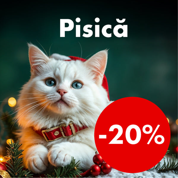 Pisici