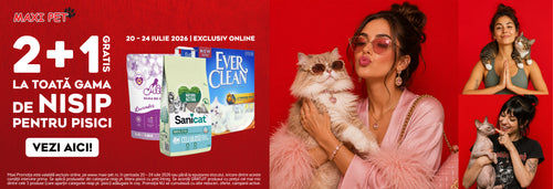 COLLECTIONS NISIP PISICI