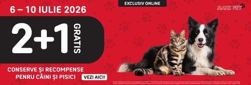 COLLECTIONS HRANA UMEDA PENTRU CAINI C8 99I PISICI