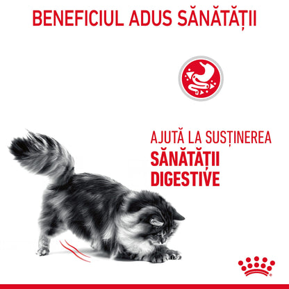 ROYAL CANIN FCN Digestive Care