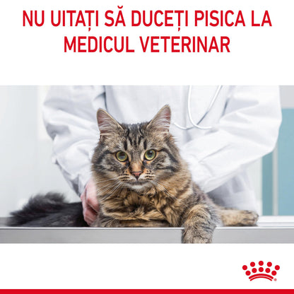 ROYAL CANIN FCN Digestive Care