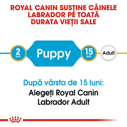 ROYAL CANIN BHN Labrador Retriever Puppy 12kg