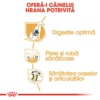 ROYAL CANIN BHN Ciobănesc German Adult