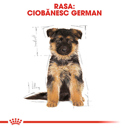 ROYAL CANIN BHN Ciobănesc German Puppy