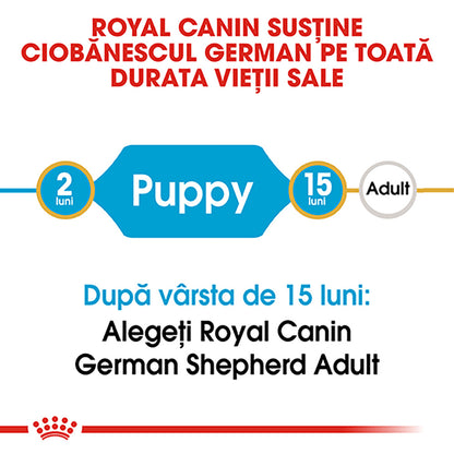 ROYAL CANIN BHN Ciobănesc German Puppy