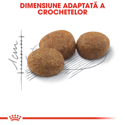 ROYAL CANIN FHN Sterilised 37