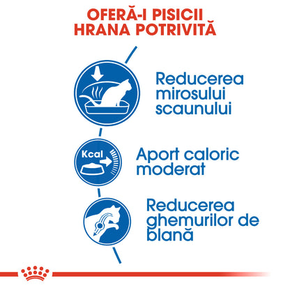 ROYAL CANIN FHN Indoor 27