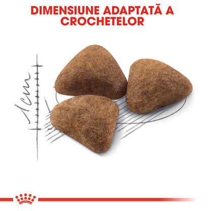 ROYAL CANIN FHN Indoor 27