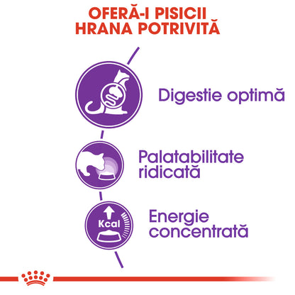 ROYAL CANIN FHN Sensible 33