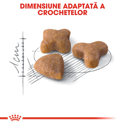 ROYAL CANIN FHN Sensible 33