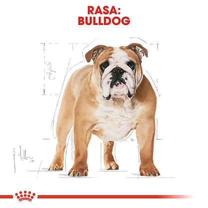 ROYAL CANIN BHN Bulldog Adult