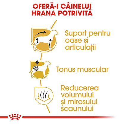 ROYAL CANIN BHN Dachshund (Teckel) Adult 1,5kg