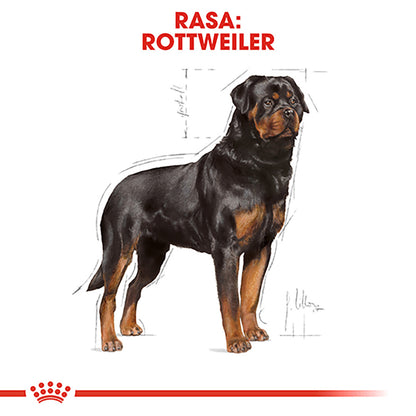 ROYAL CANIN BHN Rottweiler Adult