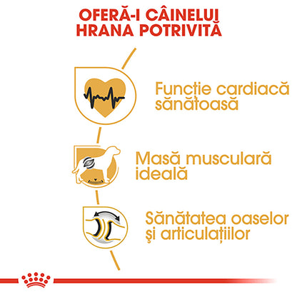 ROYAL CANIN BHN Rottweiler Adult