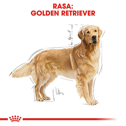 ROYAL CANIN BHN Golden Retriever Adult