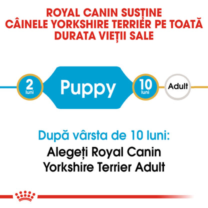 ROYAL CANIN BHN Yorkshire Terrier Puppy