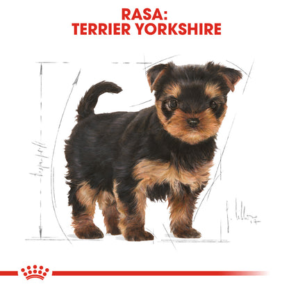 ROYAL CANIN BHN Yorkshire Terrier Puppy
