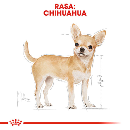 ROYAL CANIN BHN Chihuahua Adult 1,5kg