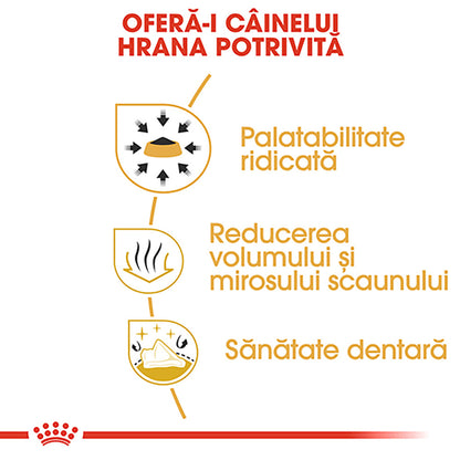 ROYAL CANIN BHN Chihuahua Adult 1,5kg